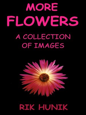 cover image of More Flowers